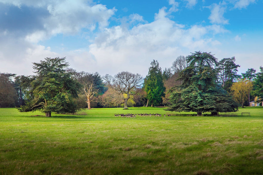 People, Place and Preservation - Hildon's Charity Work