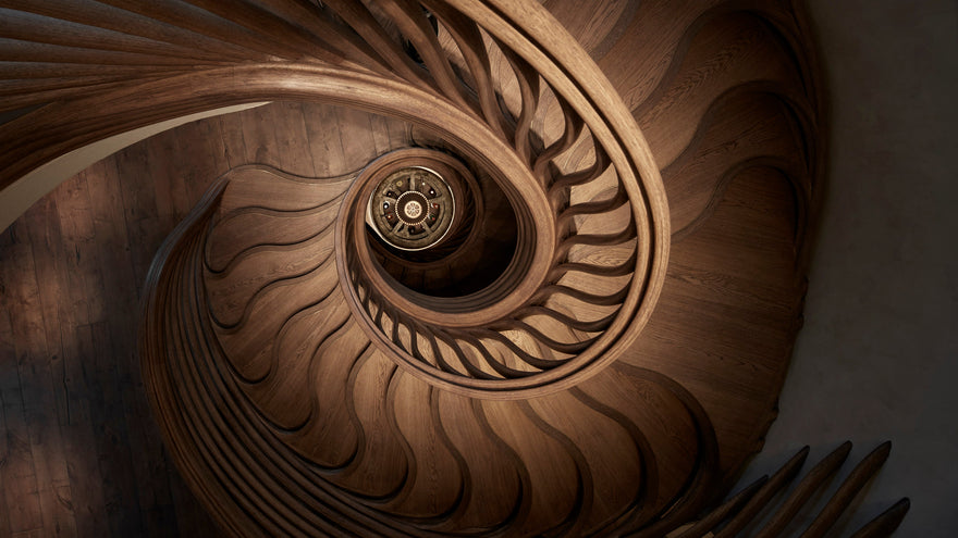 Hide: A Feast for All Five Senses