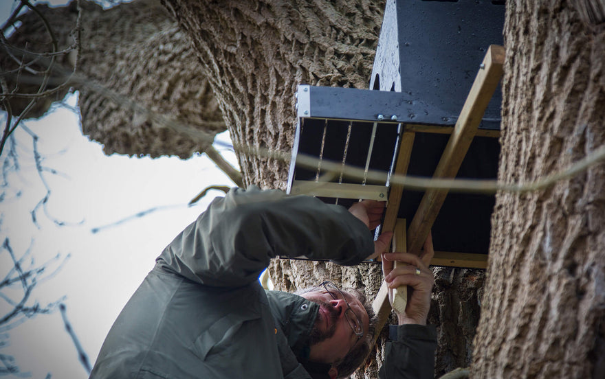 Hildon introduces three new nesting boxes