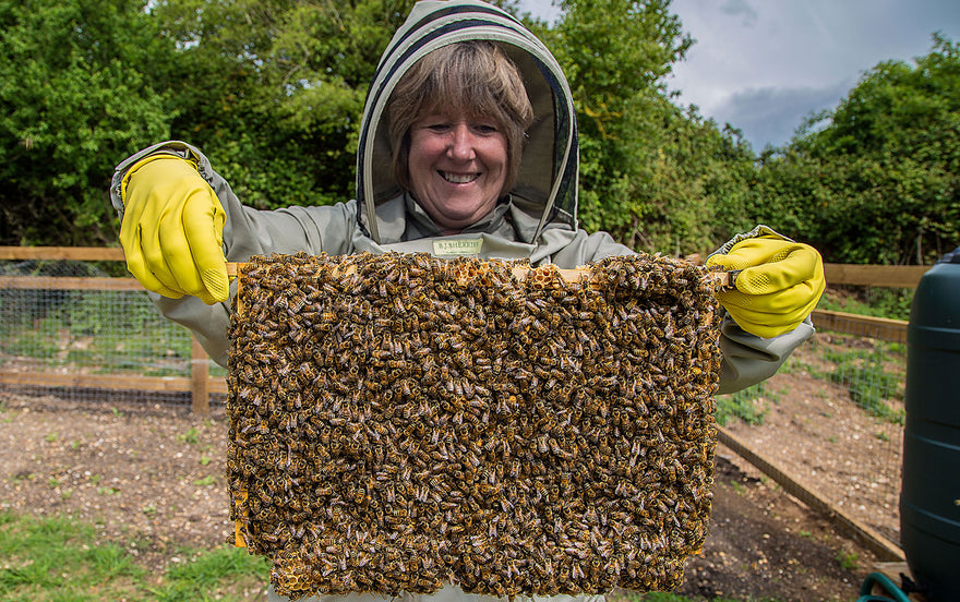New Hildon residents create a bit of a buzz