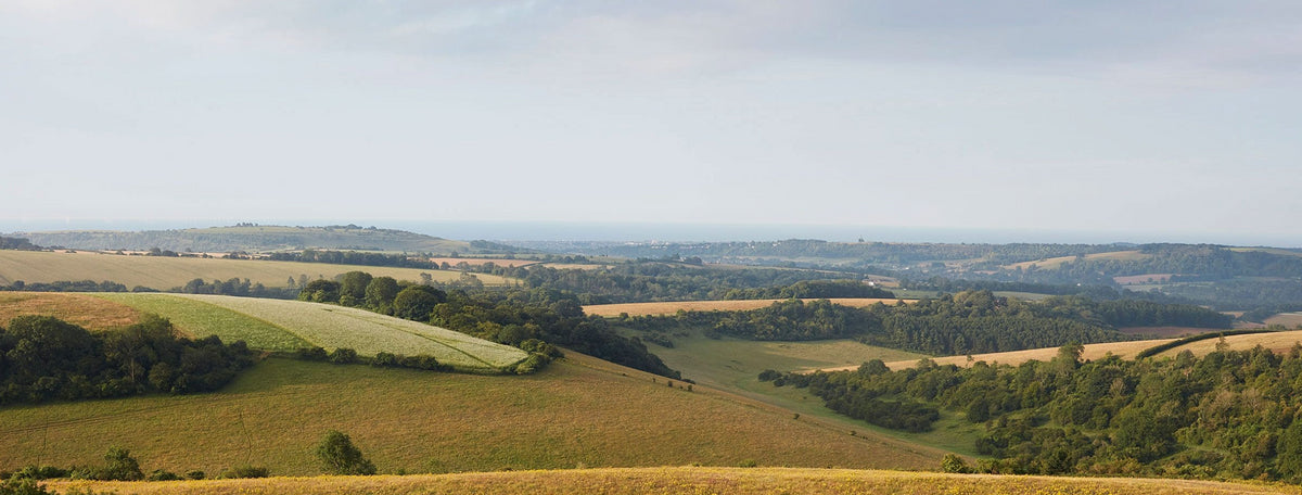 Chalk: The Bedrock of Flavour