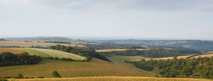 Chalk: The Bedrock of Flavour