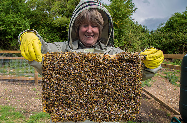 The Bees at Hildon